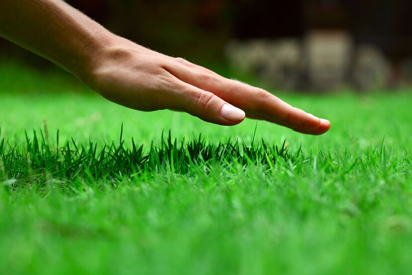 lawn services Olney