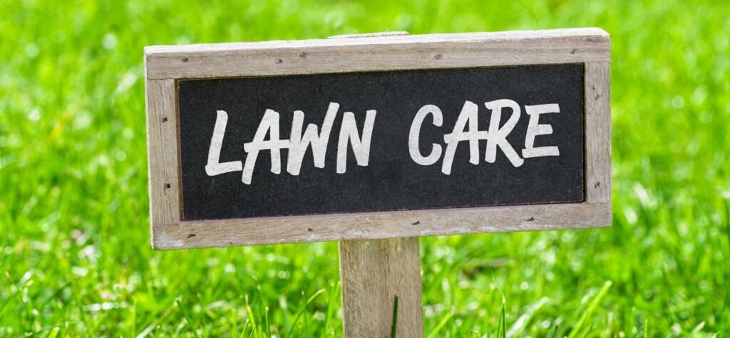 lawncare lawncare